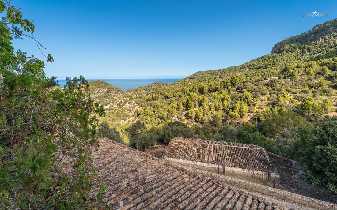 Finca a Estellencs, Isole Baleari, Spagna 3 - 16289059