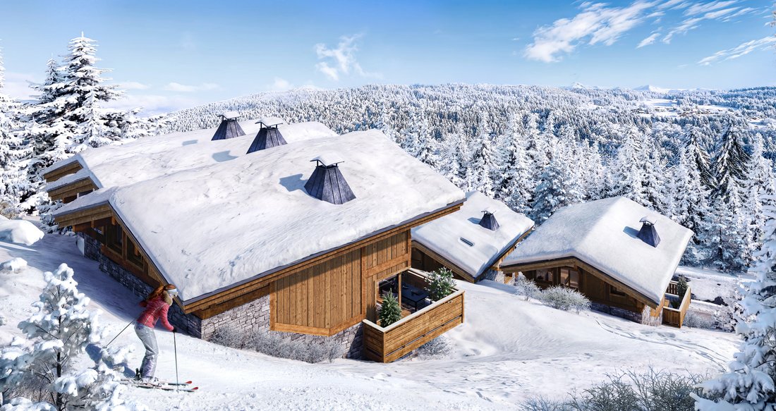 Chalet in Les Gets, Auvergne-Rhône-Alpes, France 5 - 12651104