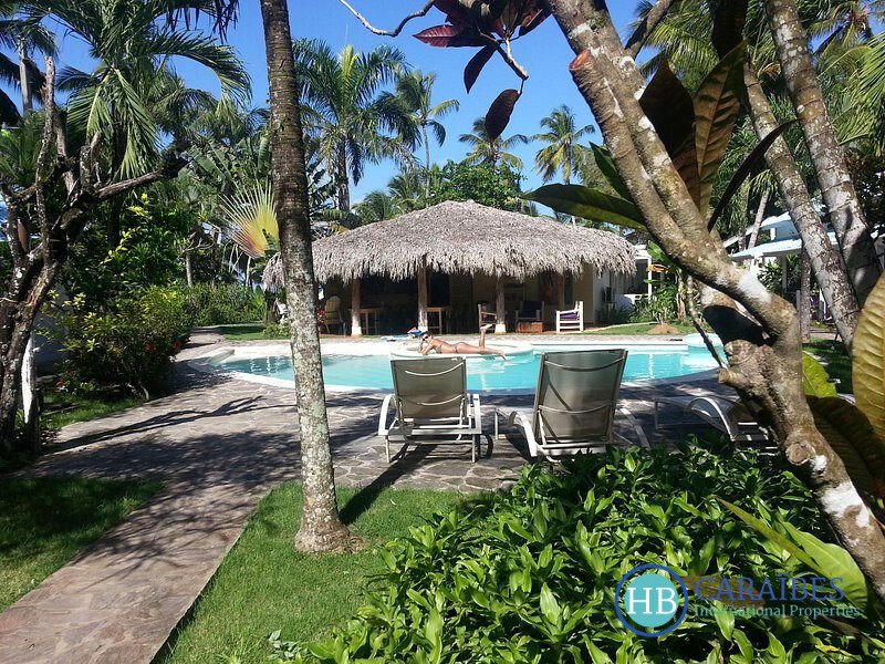 Las Terrenas, Samaná Province, Dominican Republic 1 - 16288591