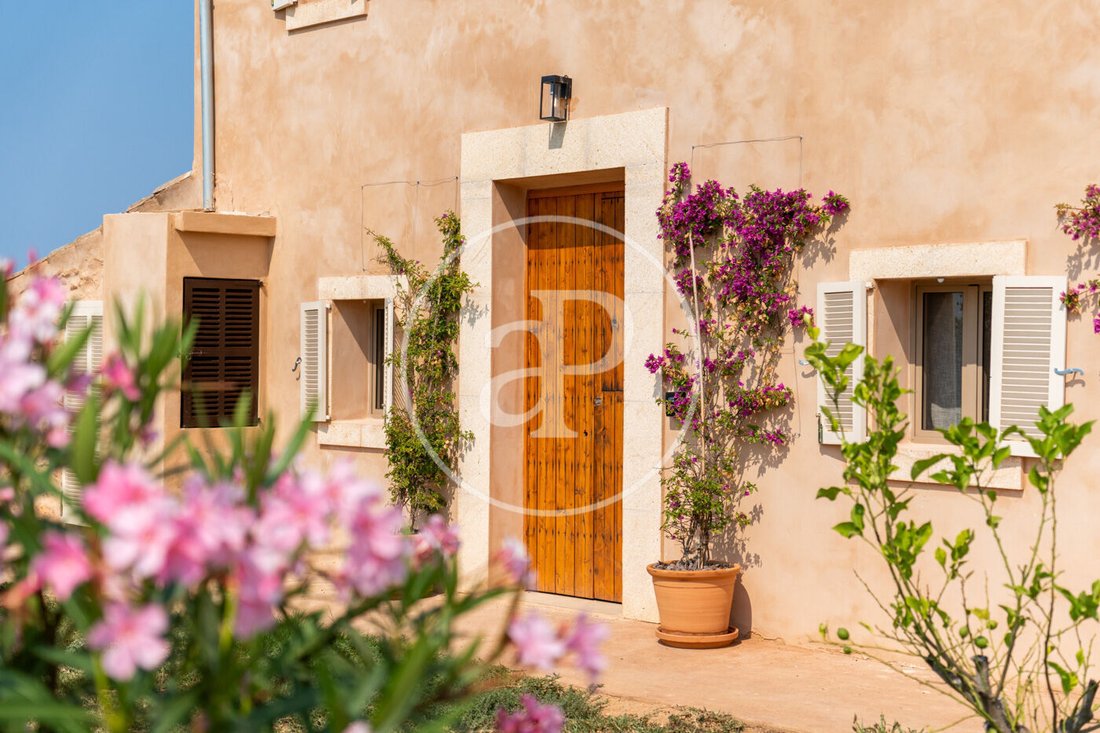 Villa in Llucmajor, Balearic Islands, Spain 5 - 16287929