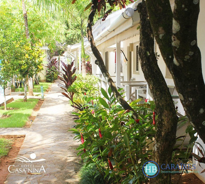 Las Terrenas, Samaná Province, Dominican Republic 4 - 16288591