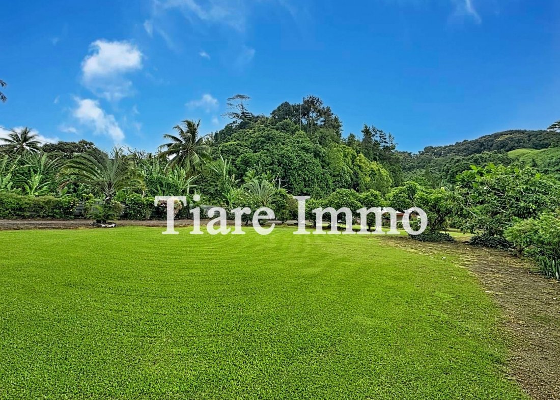 Land in Teva I Uta, Windward Islands, French Polynesia 1 - 16254197