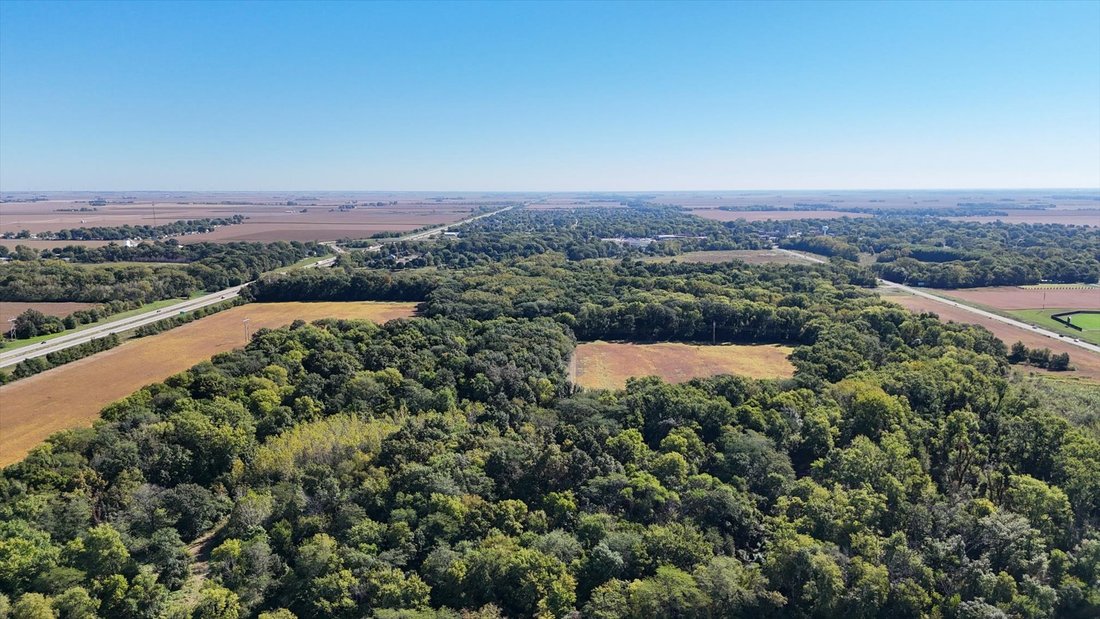 Farm Ranch in Royal, Illinois, United States 1 - 16288142
