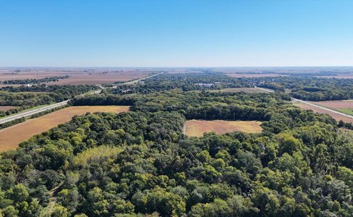 Azienda agricola a Royal, Illinois, Stati Uniti 1