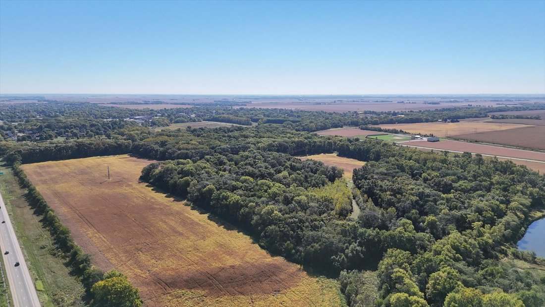 Farm Ranch in Royal, Illinois, United States 4 - 16288142