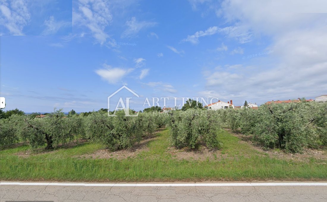 Land in Tar, Istria County, Croatia 2 - 16287746