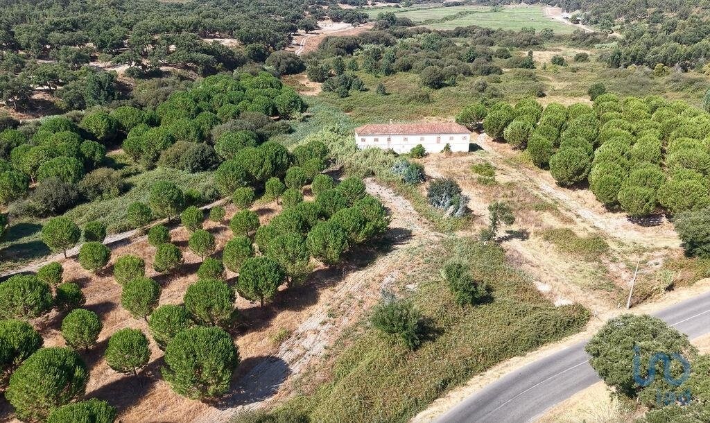 Land in Alpiarça, Distrikt Santarém, Portugal 1 - 16288116