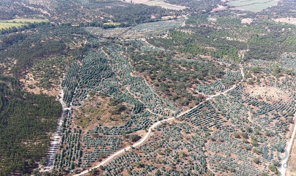 Land in Alpiarça, Distrikt Santarém, Portugal 5 - 16288116