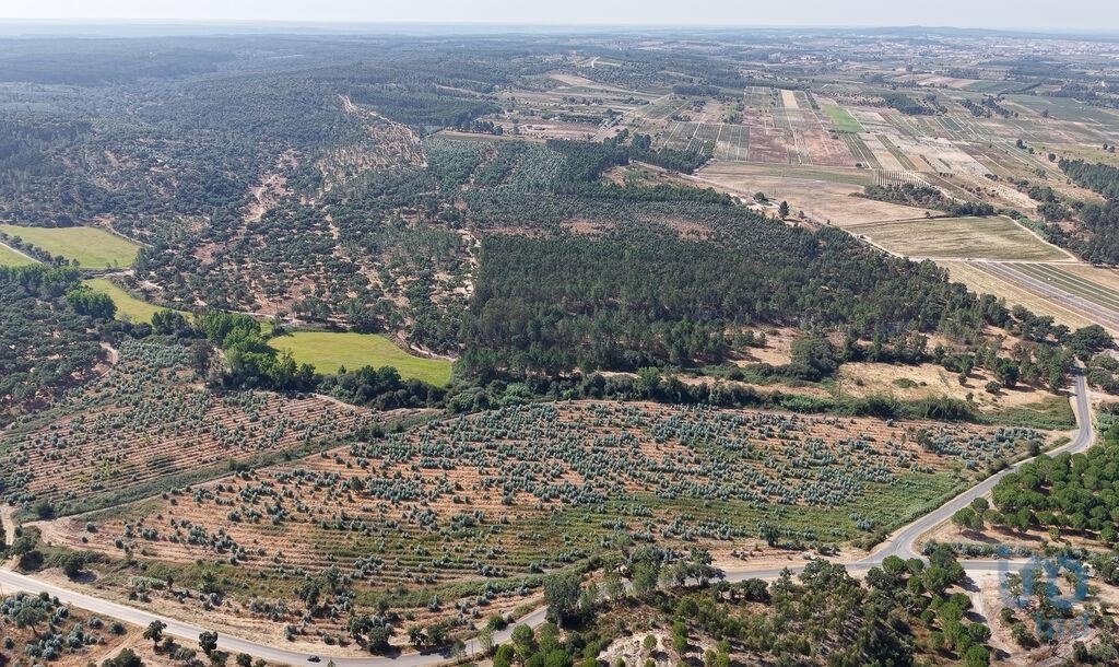 Land in Alpiarça, Distrikt Santarém, Portugal 3 - 16288116