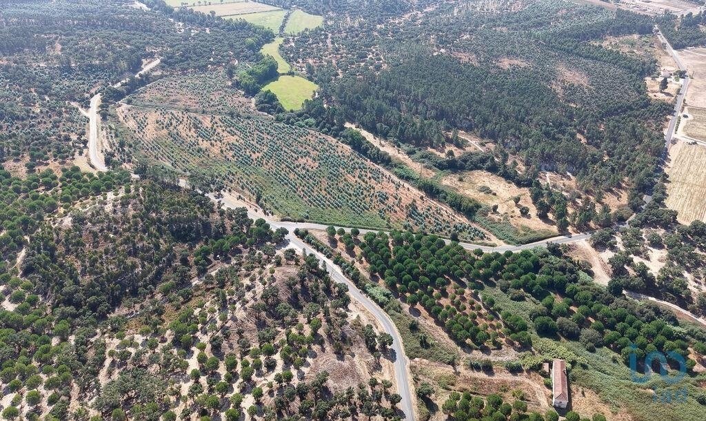 Land in Alpiarça, Distrikt Santarém, Portugal 4 - 16288116