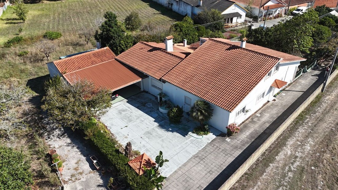 Farm Ranch in Marinha Grande, Leiria District, Portugal 3 - 15088875