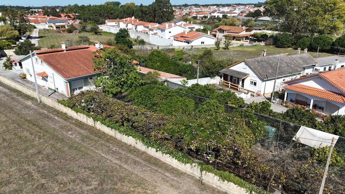 Farm Ranch in Marinha Grande, Leiria District, Portugal 4 - 15088875