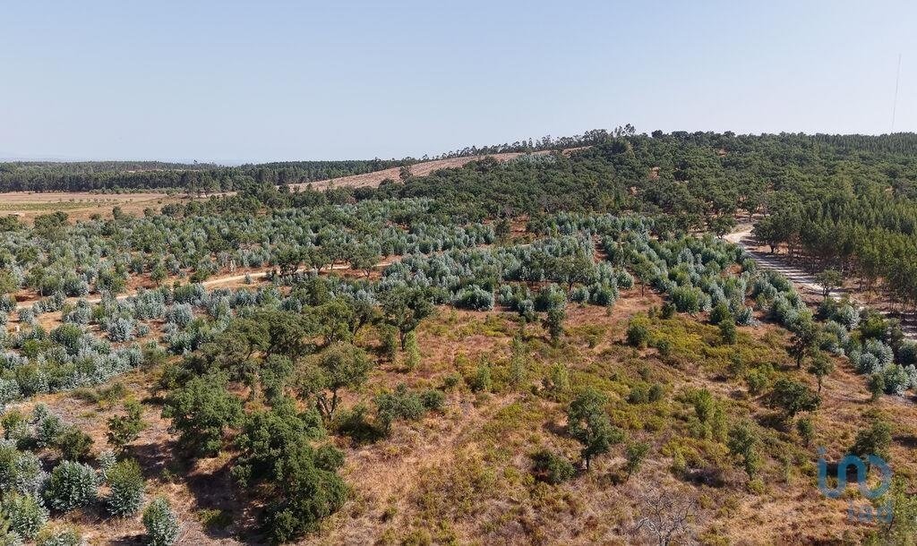 Land in Alpiarça, Distrikt Santarém, Portugal 2 - 16288116