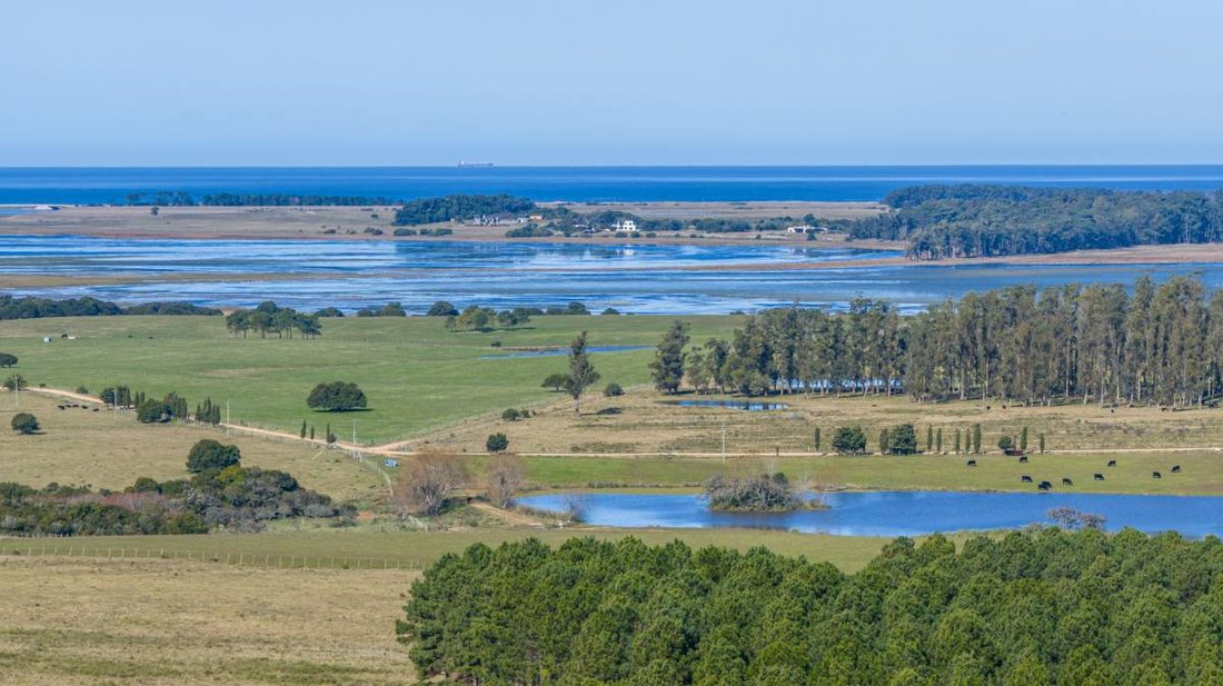 Land in Chacras de Medellin Sur Lac, Maldonado Department, Uruguay 1 - 16291658