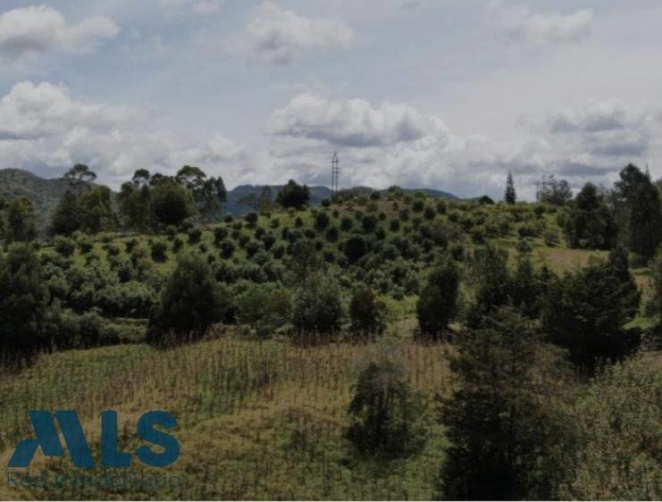 Land in Campo Alegre, Antioquia, Colombia 2 - 16293934