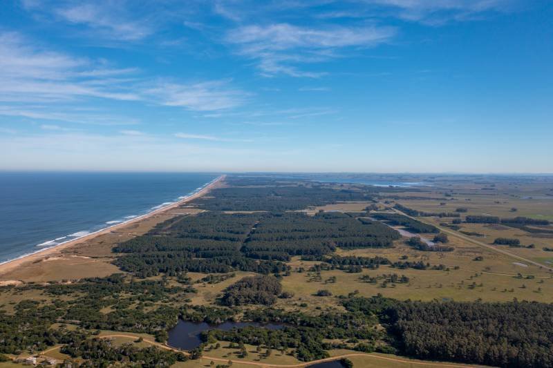 Farm Ranch in Las Garzas, Rocha Department, Uruguay 2 - 16291747