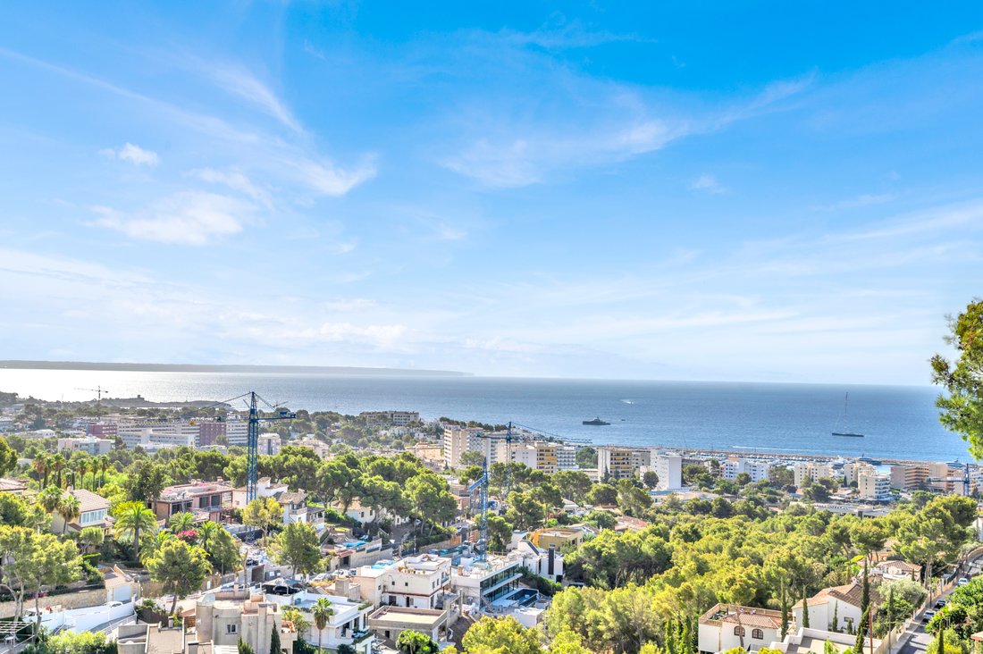 Villa in Costa d'en Blanes, Calvia, Balearic Islands 3 - 13157669