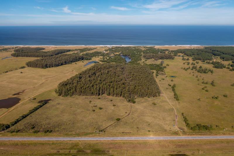Farm Ranch in Las Garzas, Rocha Department, Uruguay 4 - 16291747