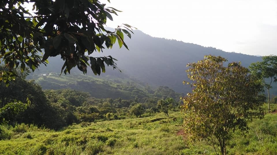 Land in Savegre de Aguirre, Puntarenas Province, Costa Rica 1 - 16285885