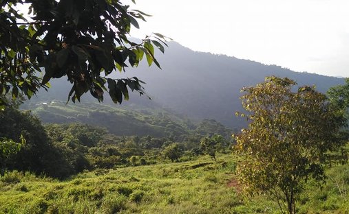 Land in Savegre de Aguirre, Puntarenas Province, Costa Rica 1