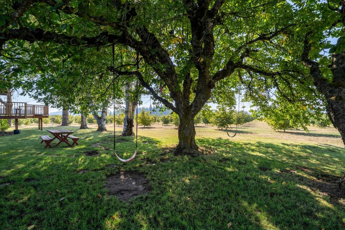 House in Hillsboro, Oregon, United States 4 - 16291283