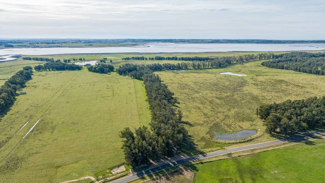Farm Ranch in Edén Rock, Maldonado Department, Uruguay 5 - 16291822