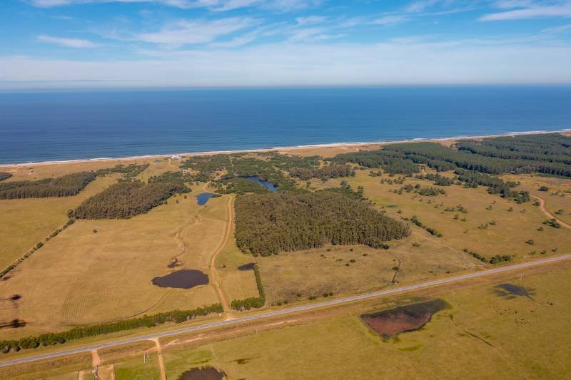 Farm Ranch in Las Garzas, Rocha Department, Uruguay 5 - 16291747