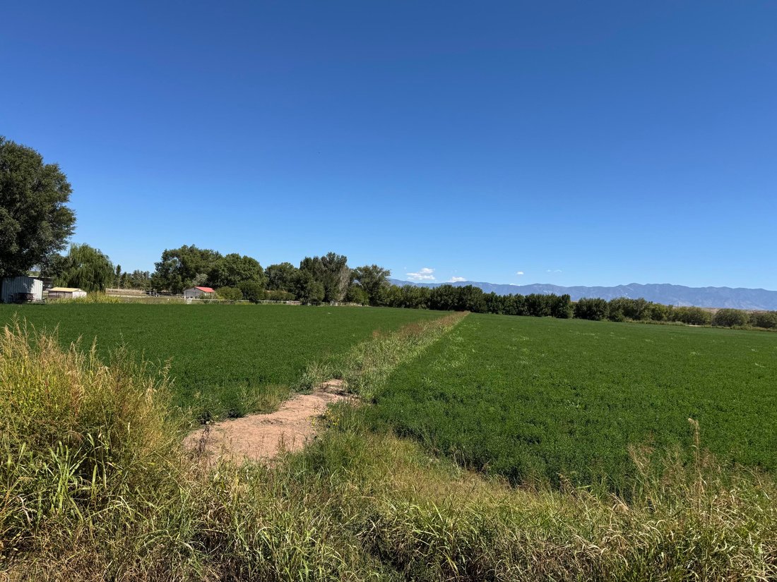 Terreno en Los Lunas, Nuevo México, Estados Unidos 4 - 16292802