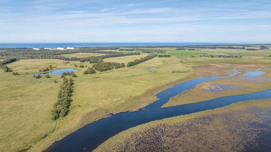 Farm Ranch in Edén Rock, Maldonado Department, Uruguay 4 - 16291822