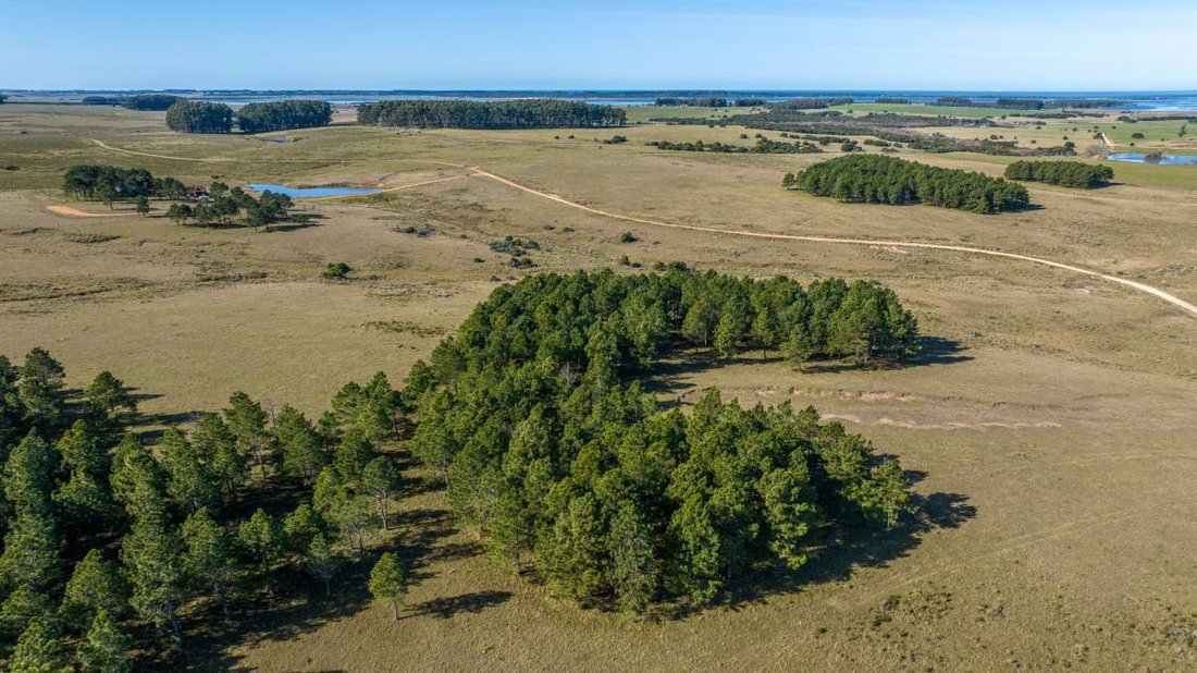 Land in Chacras de Medellin Sur Lac, Maldonado Department, Uruguay 5 - 16291658