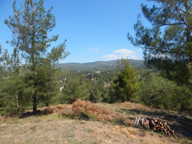 Farm Ranch in Pylaia, Macedonia and Thrace, Greece 4 - 16295657