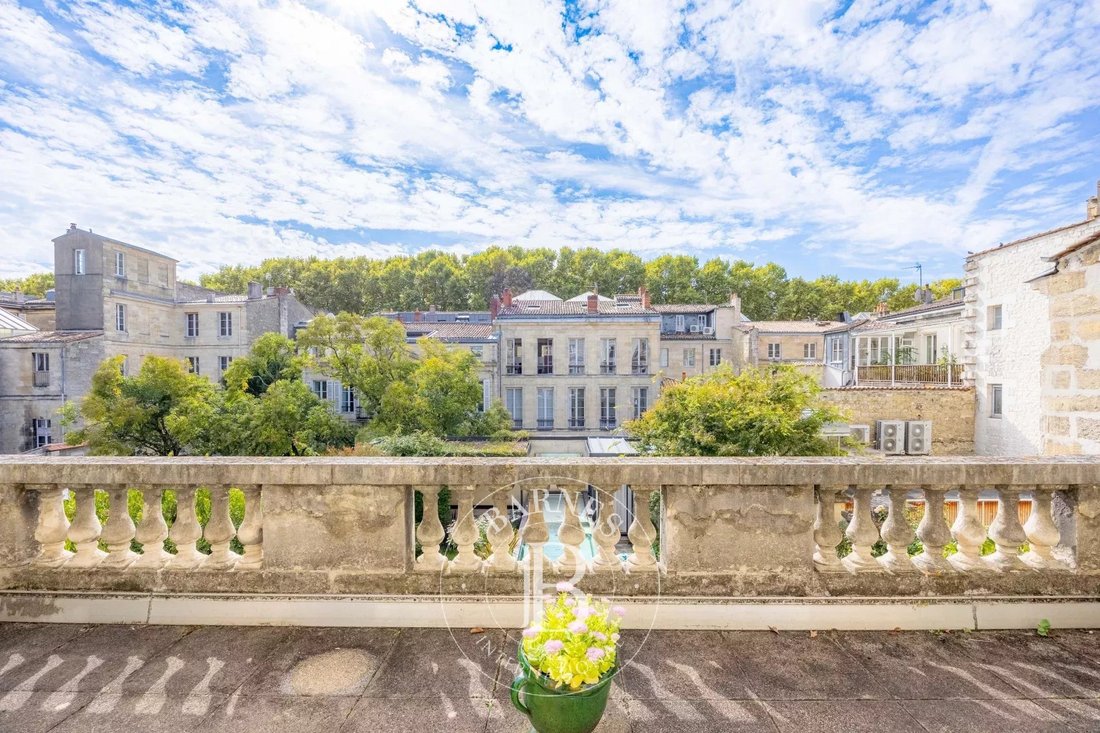 Apartment in Hôtel de Ville-Quinconce-Saint Seurin-Fondaudège, Bordeaux, France 1 - 16289390