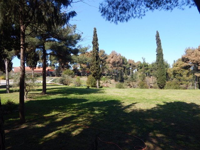 Farm Ranch in Pylaia, Macedonia and Thrace, Greece 1 - 16295657