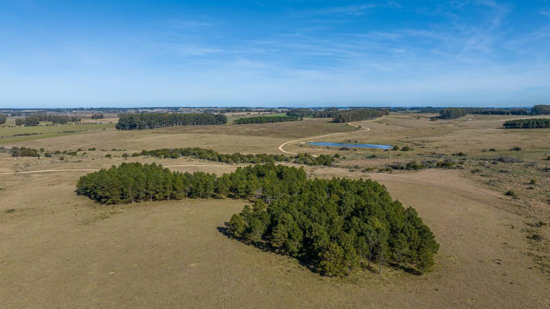 Land in Chacras de Medellin Sur Lac, Maldonado Department, Uruguay 4 - 16291658