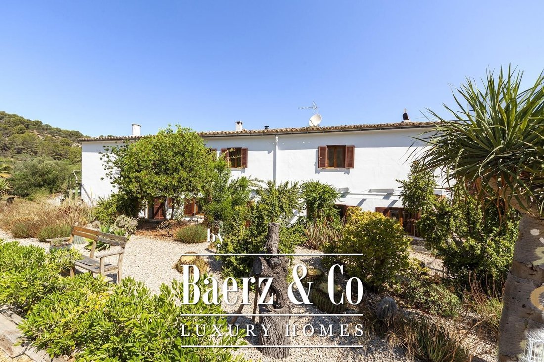 Country House in s'Arraco, Andratx, Balearic Islands 4 - 16292154