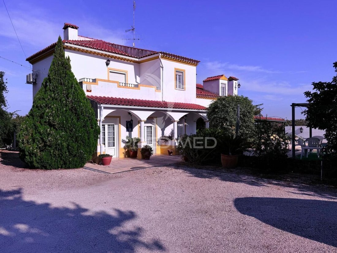 Farm Ranch in Assuncao, Ajuda, Salvador e Santo Ildefonso, Portalegre, Portugal 1 - 16294206