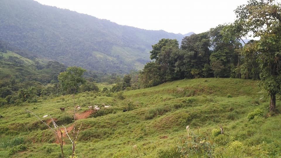 Land in Savegre de Aguirre, Puntarenas Province, Costa Rica 4 - 16285885