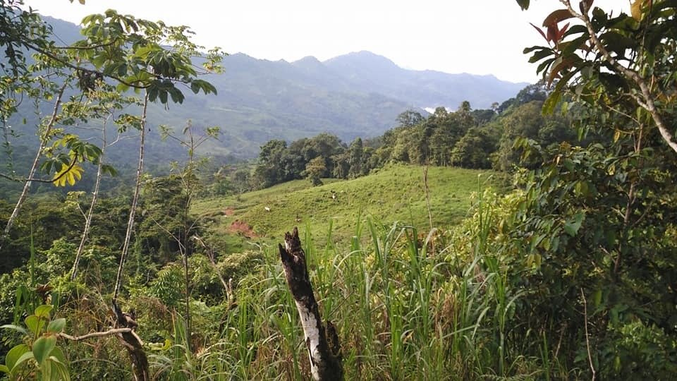 Land in Savegre de Aguirre, Puntarenas Province, Costa Rica 3 - 16285885