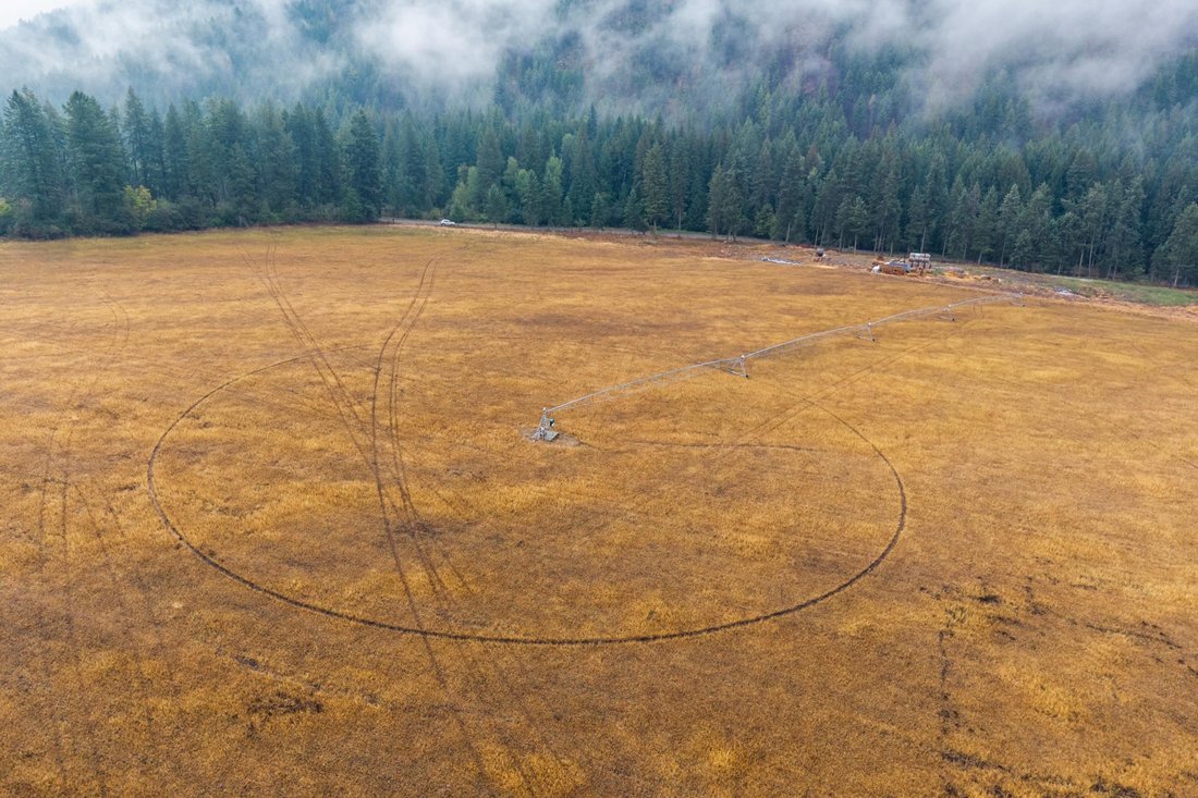 Danville, Washington, United States 4 - 16293017
