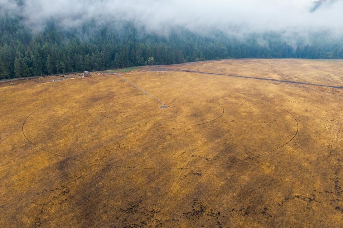 Danville, Washington, United States 5 - 16293017