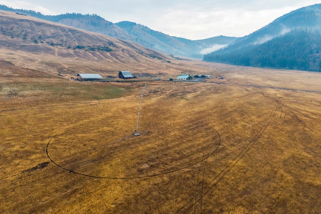 Danville, Washington, United States 1 - 16293017