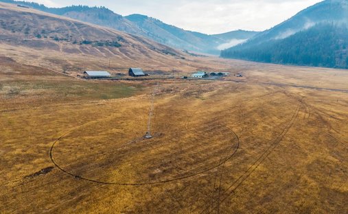 Danville, Washington, United States 1