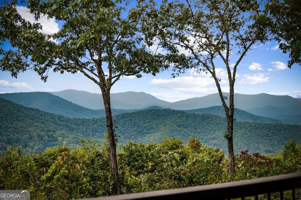 House in Morganton, Georgia, United States 3 - 16290235