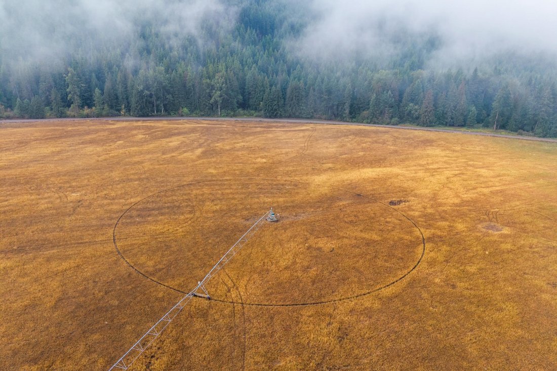 Danville, Washington, United States 3 - 16293017