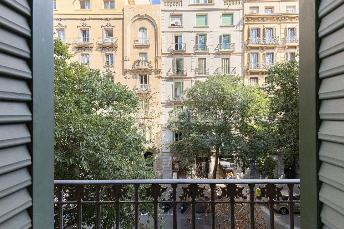 Apartment in Eixample, Barcelona, Spain 4 - 13453141