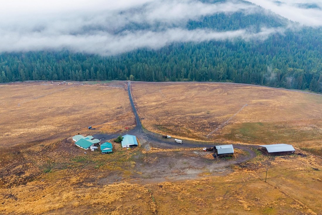 Danville, Washington, United States 2 - 16293017