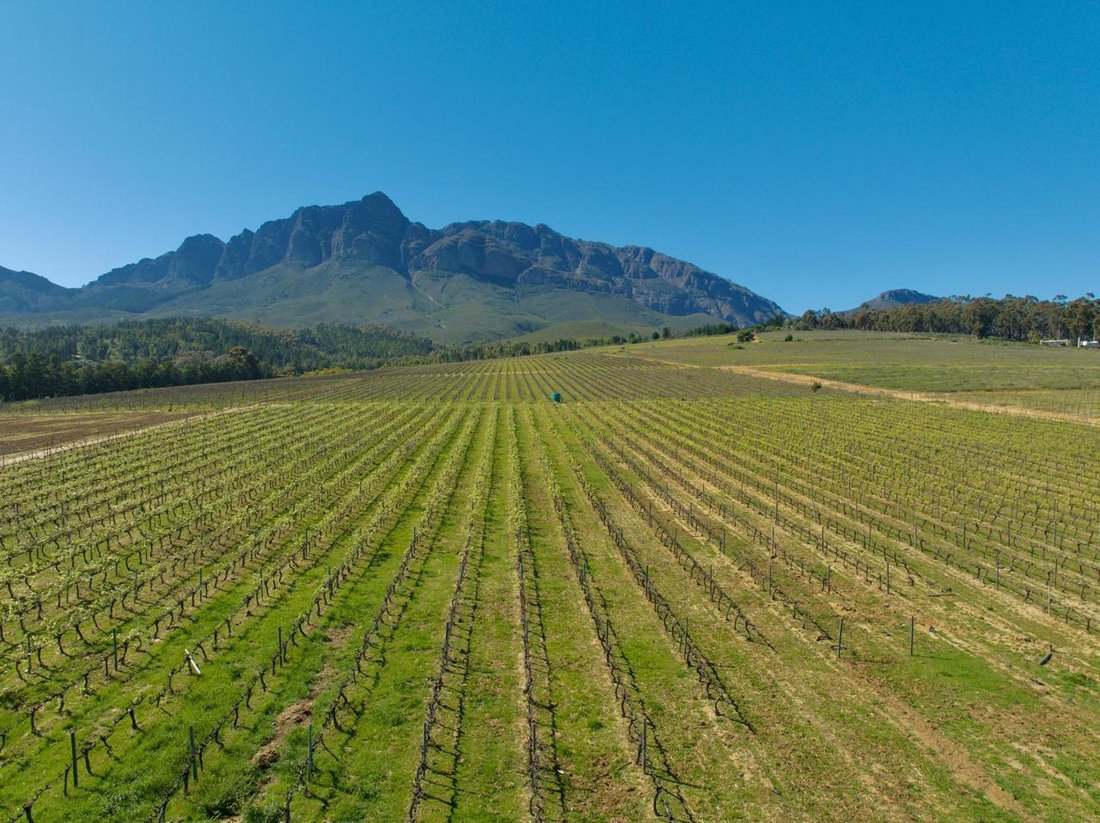 Farm Ranch in Wellington, Western Cape, South Africa 4 - 16152226
