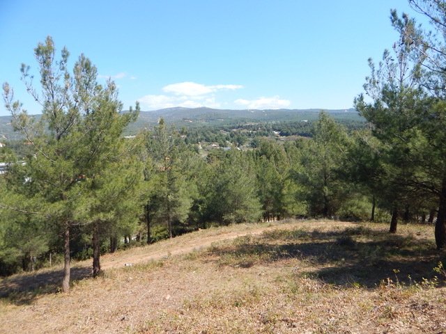 Farm Ranch in Pylaia, Macedonia and Thrace, Greece 5 - 16295657