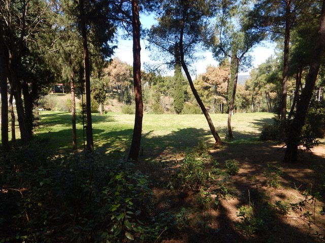 Farm Ranch in Pylaia, Macedonia and Thrace, Greece 3 - 16295657