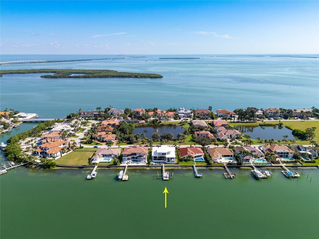 House in St. Petersburg, Florida, United States 5 - 16295887
